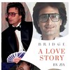 Zia: Bridge - A love story