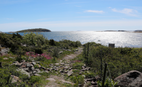 Bli med på årets juniorleir