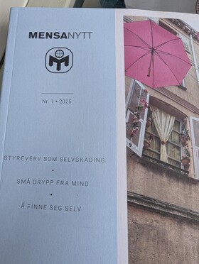 Bridge i Mensanytt Bridge i Mensanytt