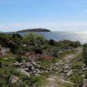 Fulltegnet juniorleir