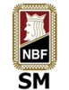 SM 2021 - oppsett 1.-3. divisjon
