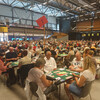 Opplev tre bridgefestivaler i sommer