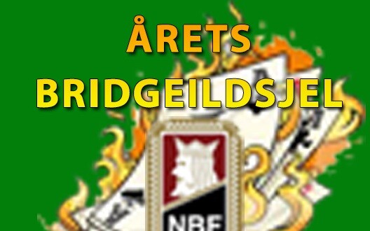 Årets Bridgeildsjel